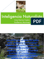 Inteligencia Naturalista 1