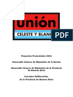 Proyectos Presentados - Unión Celeste y Blanco
