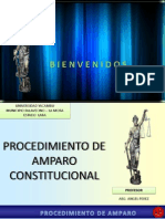 Procedimiento de Amparo Constitucional