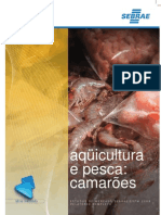 Cultivo de camarões: um guia completo sobre o mercado brasileiro