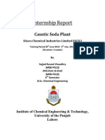 Internship Report at SCIL