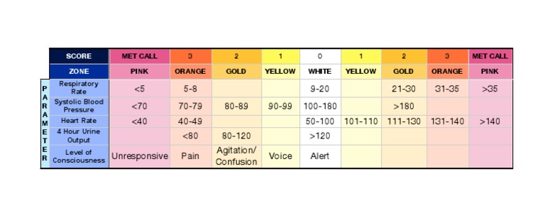 Wellington EWS Matrix | PDF