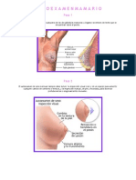 Auto Examen Mamario