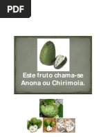 Anona Ou Chirimoia