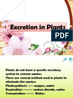 Excretion of Plant