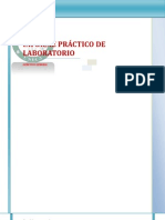 Informe Practico