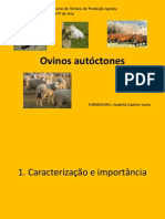 1- Ovinos autóctones de Portugal