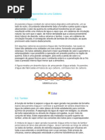 Trabalho de Caldeiras