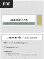 Apresentação 3 - Artrópodes