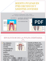 Endodoncia en Dientes Deciduos & Permanentes