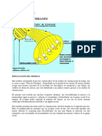 Modelo de Comunicacion Tuba de Schramm para El Blog