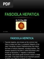 Download Fasciola Hepatica by doctorrao SN106050144 doc pdf