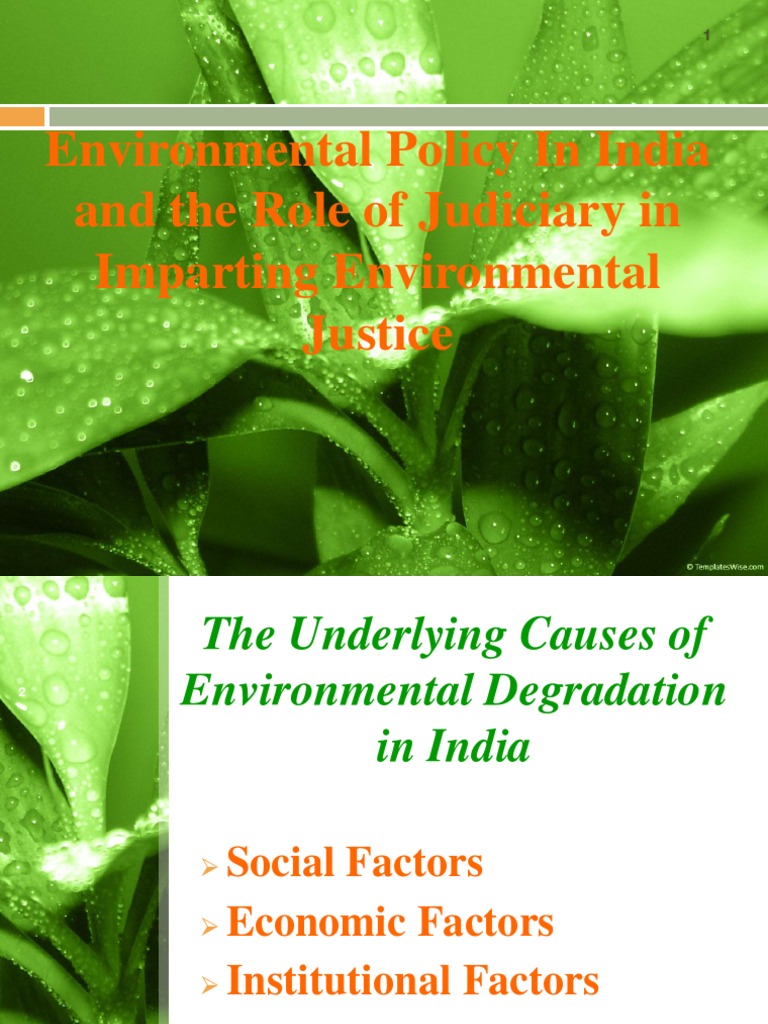 Environment Policy and The Role of Judiciary in India New | PDF ...