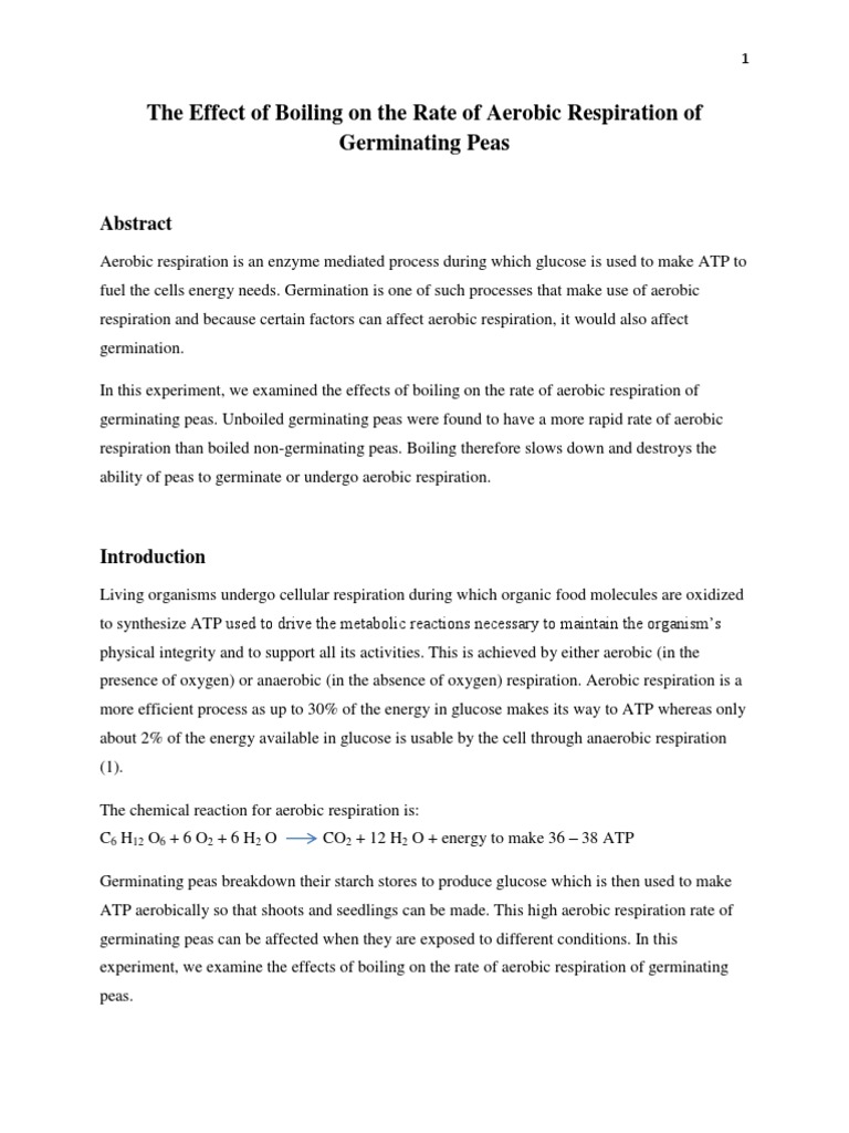 Bio Lab Report 2 The Effect Of Boiling On The Rate Of Aerobic Respiration Of Germinating Seeds Cellular Respiration Adenosine Triphosphate