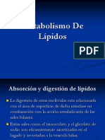 Metabolismo De Lípidos