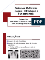 SM 2011 2 Imagem1Fundamentos