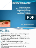 Malaria 14 Set 2012