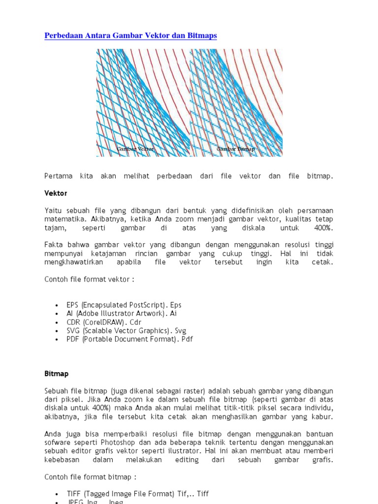 Perbedaan Antara Gambar Vektor Dan Bitmaps