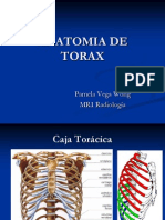 Anatomia de Torax
