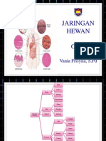 Jaringan Hewan Vania, S.PD