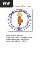 La Celula Eucariota