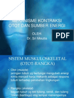 K.P 6.15 Mekanisme Kontraksi Otot & Sumber Energi