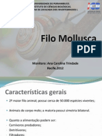 Filo Mollusca