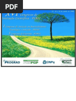 Pibic2008_rev2