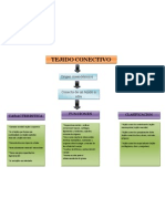 Mapa Conceptual Tejido Conectivo PDF