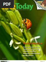 Download Rice Today Vol 11 No 4 by Rice Today SN106212342 doc pdf