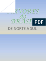 ÁRVORES DO BRASIL - APRESENTAÇÃO