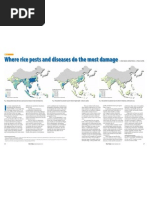 Download Rice Today Vol 11 No 4 Where rice pests and diseases do the most damage by Rice Today SN106220064 doc pdf