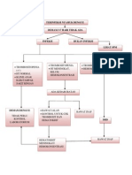 DBD Pathway