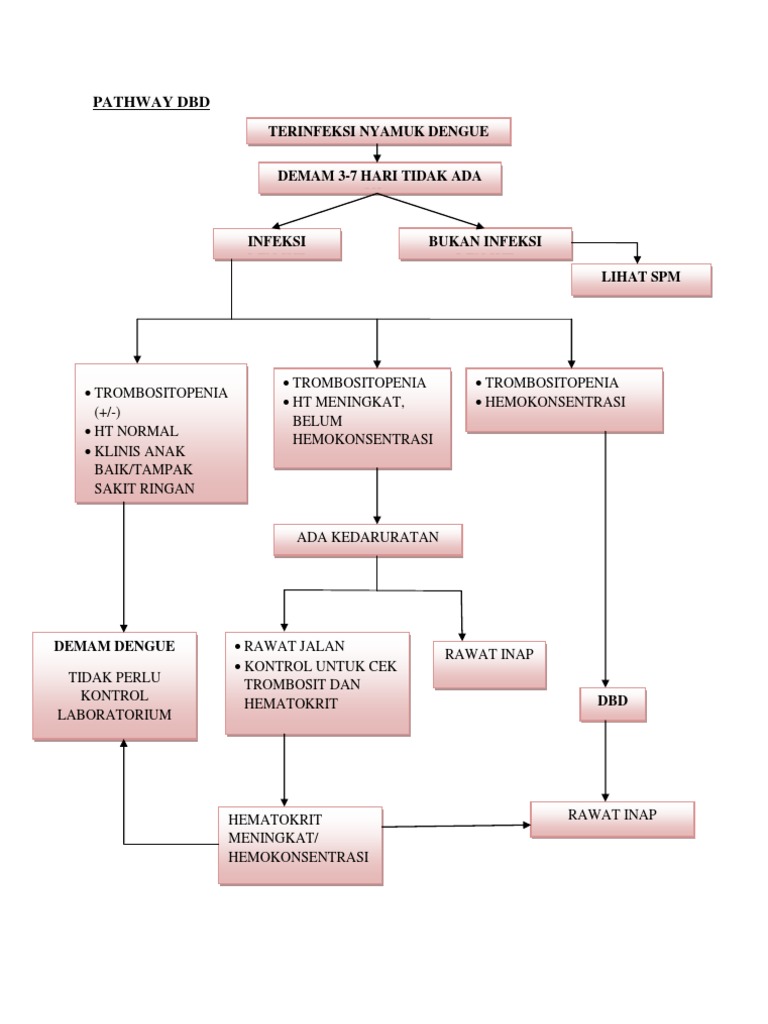 Pathway DBD dan Patofisiologinya | PDF | Ilmu Sosial | Pengembangan Diri