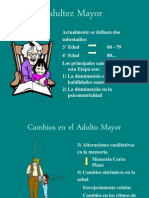 Adultez Mayor