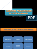 CUESTIONES PROBATORIAS_LABORAL