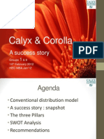 Marketing CALYX Presentation Final