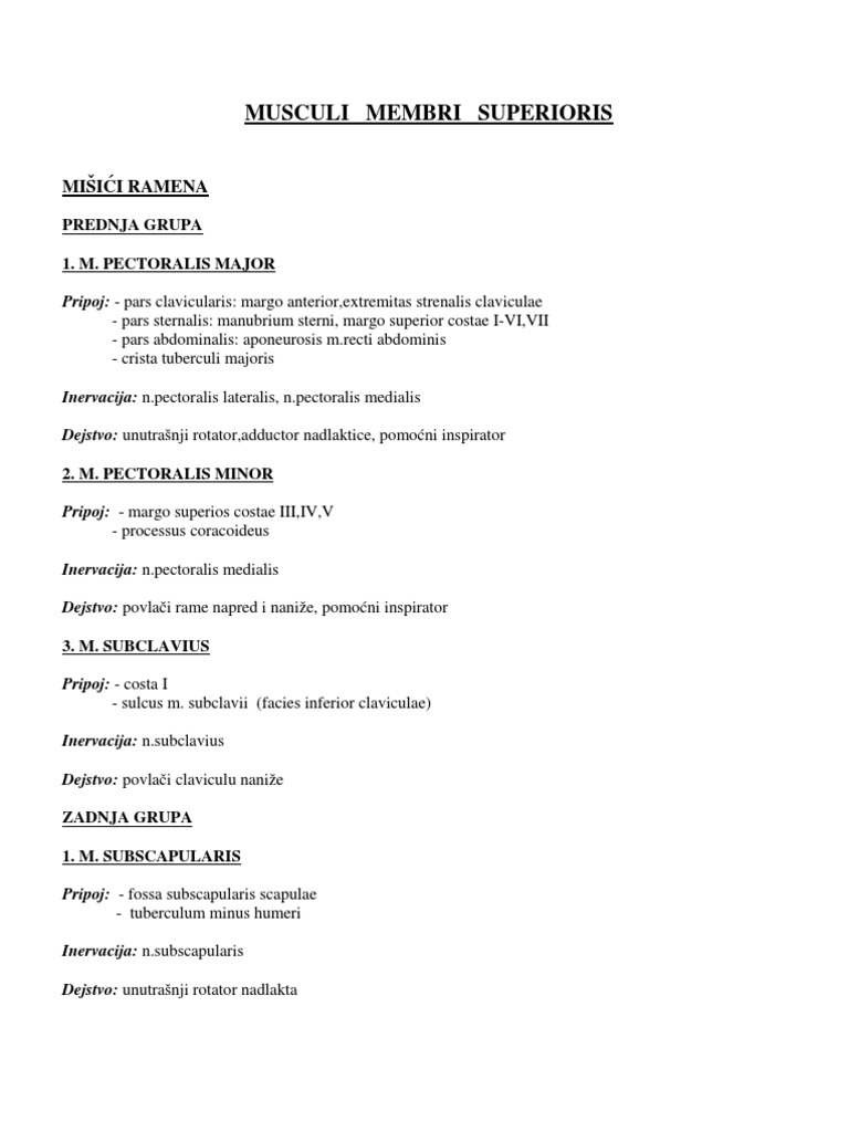 Ruka | PDF