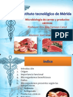 Microbilogia de La Carne