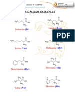 Aminoacidos Esencales