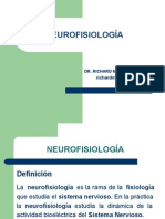 NEUROFISIOLOGIA
