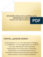 Situacion Actual de La Agricultura Protegida en Mexico