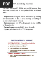 Chapter 5 - DNA Modifying Enzymes