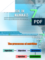 Nutrition in Mammal Arist Edit