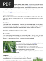 Download Tehnis Budidaya Atau Cara Menanam Mentimun by Hidayat Jepara SN106341552 doc pdf