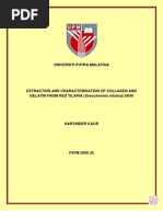 Download Extraction and Characterisation of Collagen and Gelatin by mabdullah_708148 SN106342730 doc pdf
