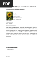 Download MAKALAH KULAP by chipyavianti SN106351382 doc pdf
