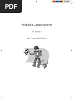Psicologia Organizacional