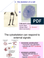 Cy to Skeleton