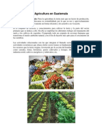 Agricultura en Guatemala